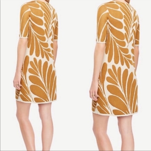 Ann Taylor Fan Leaf Sweater Dress - Picture 3 of 10